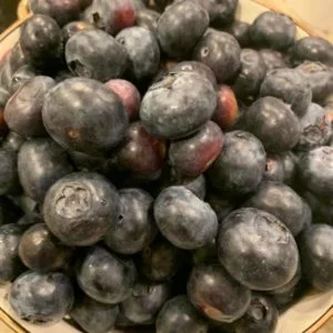 Georgia Grown Blueberries from R&S Berry