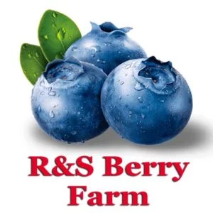 Picture of Berry Farm
